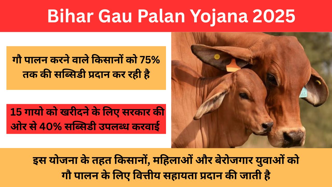 Bihar Gau Palan Yojana 2025: गौ पालन हेतु बिहार सरकार देगी 50% से लेकर 75% की सब्सिडी लोन
