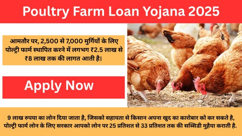 Poultry Farm Loan Yojana 2025: किसानों को मुर्गी फॉर्म के लिए सरकार दे रही 9 लाख रुपया, मिलती है 33% सब्सिडी