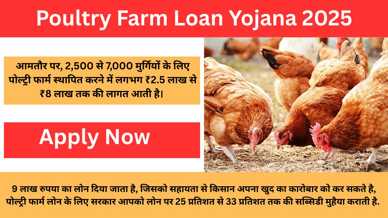 Poultry Farm Loan Yojana 2025: किसानों को मुर्गी फॉर्म के लिए सरकार दे रही 9 लाख रुपया, मिलती है 33% सब्सिडी